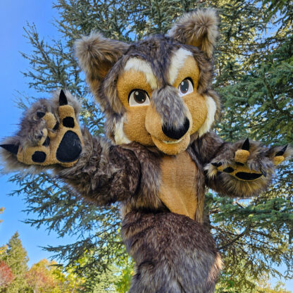 Mascot costumes